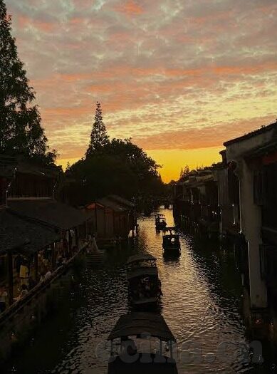 大象传媒免费入口2922-大象传媒，解锁文化娱乐的广阔世界