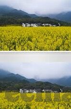 果冻传媒链接-探索果冻传媒链接，数字时代的创意与娱乐新风尚