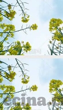 果冻传媒tv在线播放-探索果冻传媒TV在线播放的多元化娱乐体验